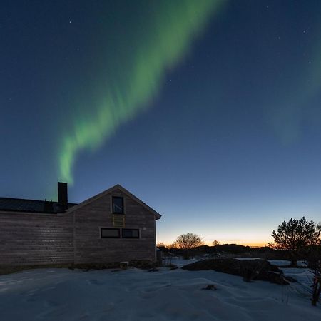Koselig Bolig I Lofoten / Vesteralen Stronstad i Vesteralen Exterior photo